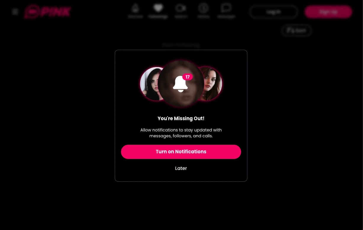 Top Features That Define a Real Pink Video Chat