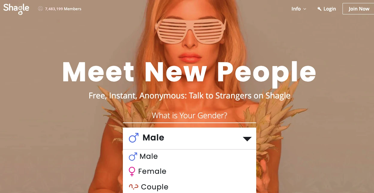 Shagle – Instant Random Video Chat with Smart Filters